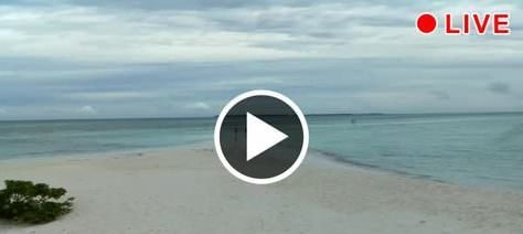 Maldivler Kuredu Adası Canlı Kamera izle