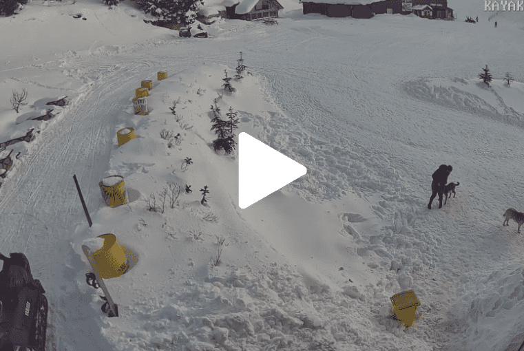 Ordu Çambaşı Kayak Merkezi Canlı Kamera izle