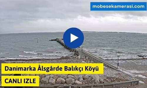 Danimarka Ålsgårde Balıkçı Köyü Canli Kamera izle