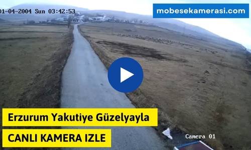 Erzurum Yakutiye Güzelyayla Canlı Mobese izle