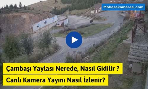 Çambaşı Yaylası Nerede, Nasıl Gidilir ve Canlı Kamera Yayını Nasıl İzlenir?