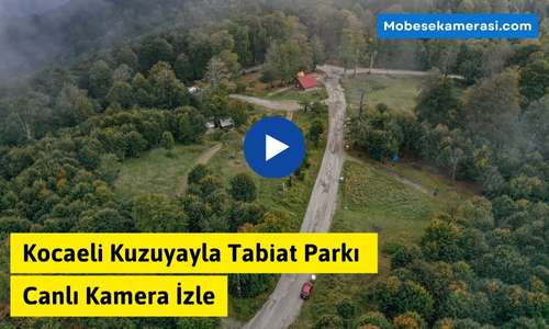 Kocaeli Kuzuyayla Tabiat Parkı Canlı Kamera İzle